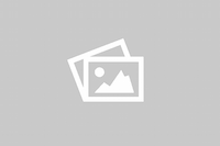 Classic CNYC Canvas Sneakers for Men 